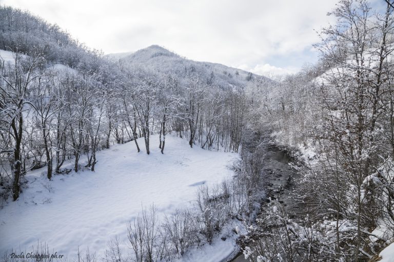 La Val d’Aveto da assaporare
